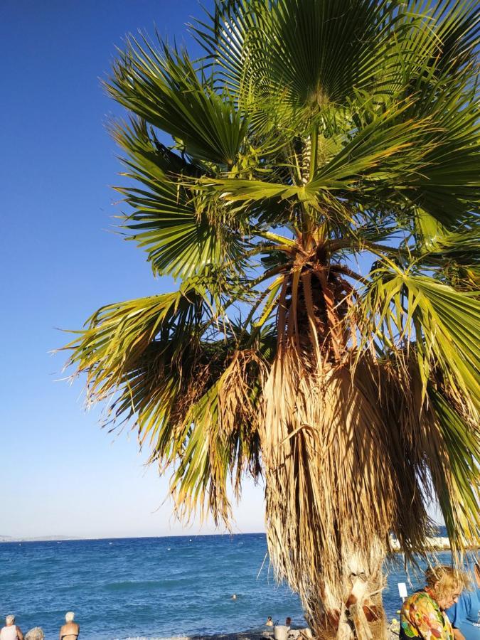 Studio Rez De Jardin Marina Baie Des Anges Villeneuve-Loubet Bagian luar foto